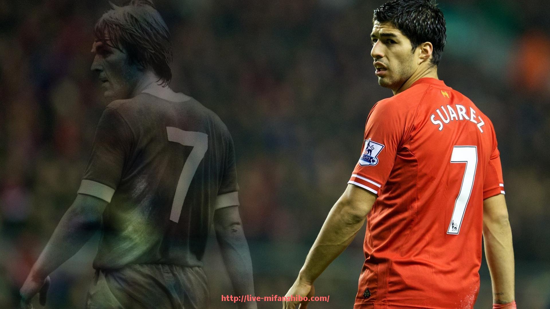 秘饭直播-火箭队主场介绍及主场文化氛围分析